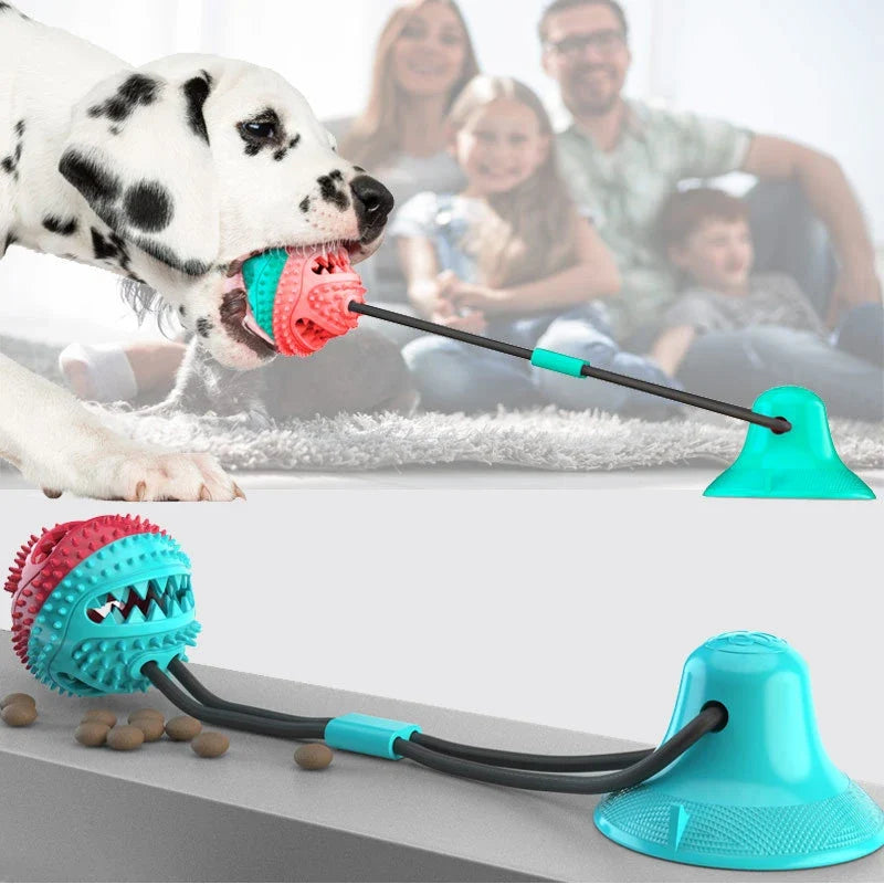 Suction Cup Dog Chew Toy