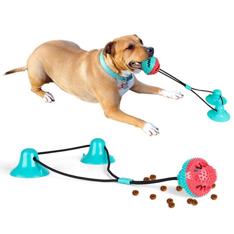 Suction Cup Dog Chew Toy