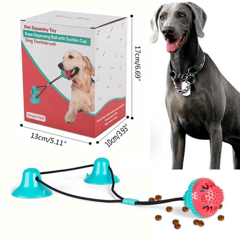Suction Cup Dog Chew Toy
