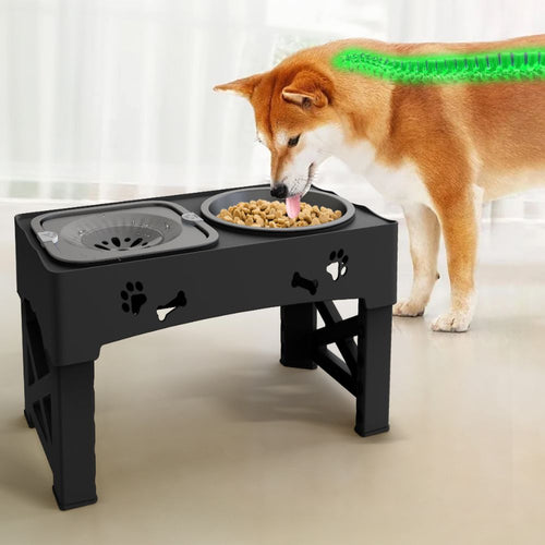 Adjustable Raised Slow Feeder for Dogs