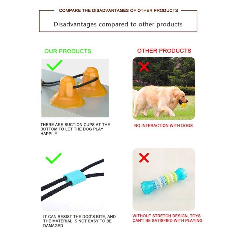 Suction Cup Dog Chew Toy