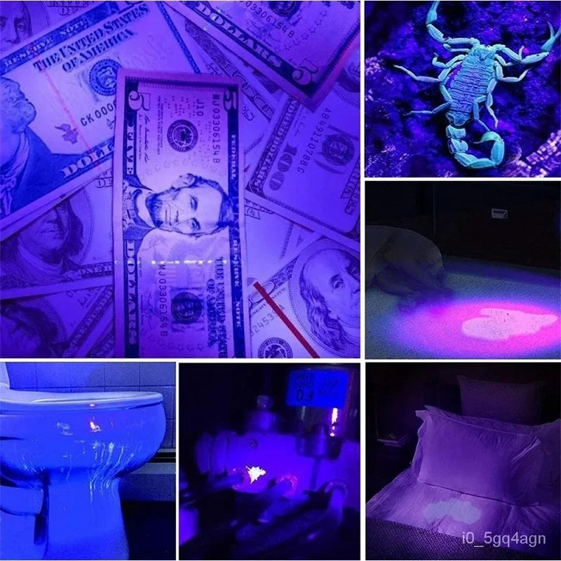 UV Flashlight – Bed Bug Detector & Stain Finder