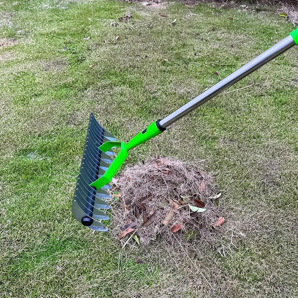 Long-Reach Thatch Rake for Dead Grass