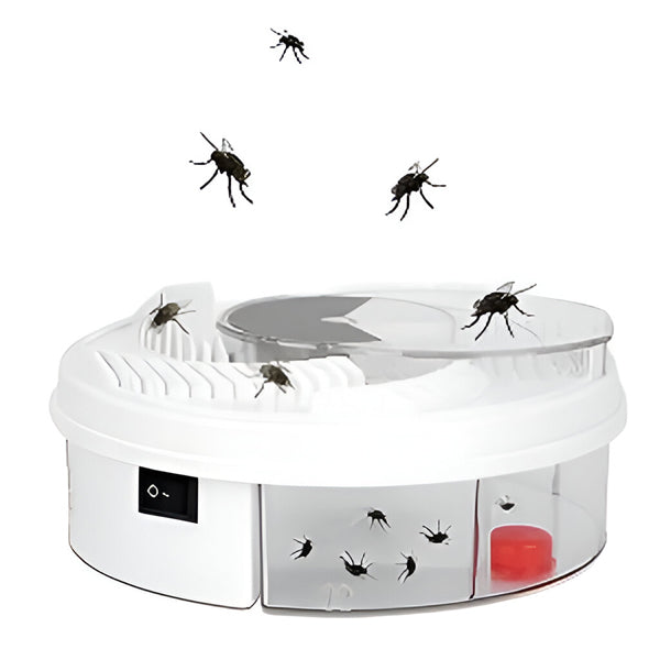Effective Fly Trap