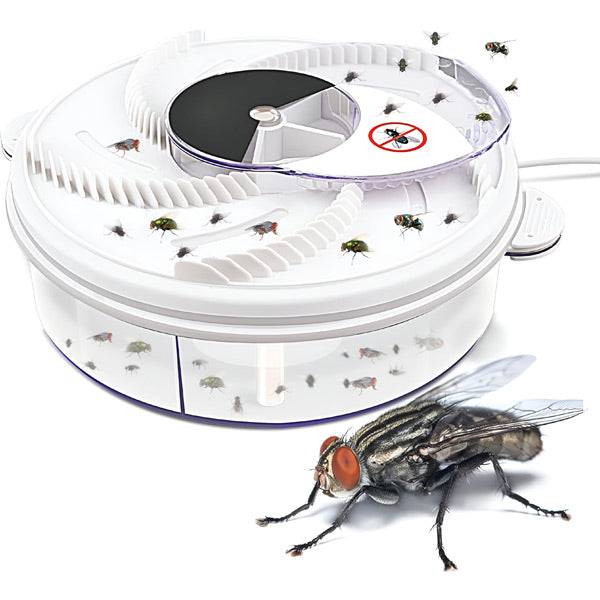 Effective Fly Trap