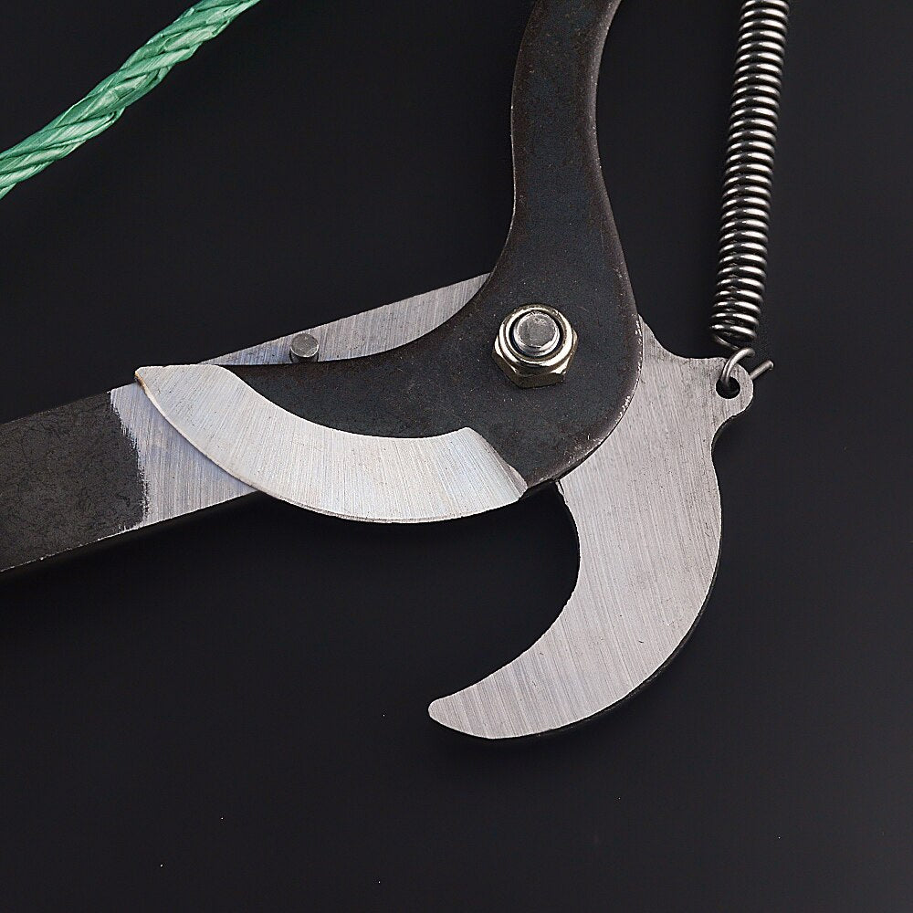 Extendable High-Reach Pruning Shears