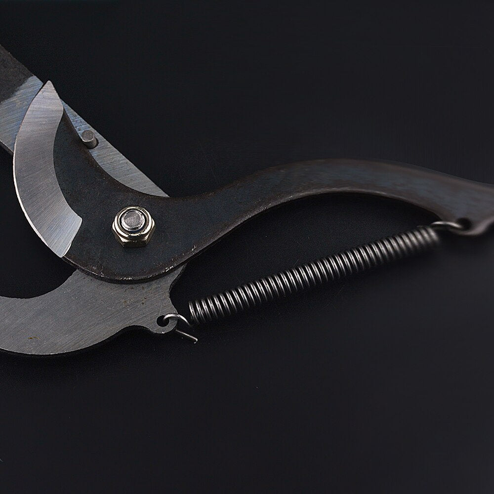 Extendable High-Reach Pruning Shears