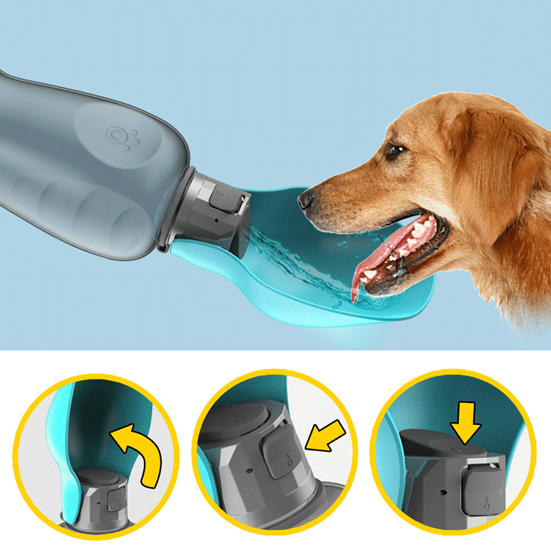 Travel Water Bottle for Dogs with Foldable Bowl