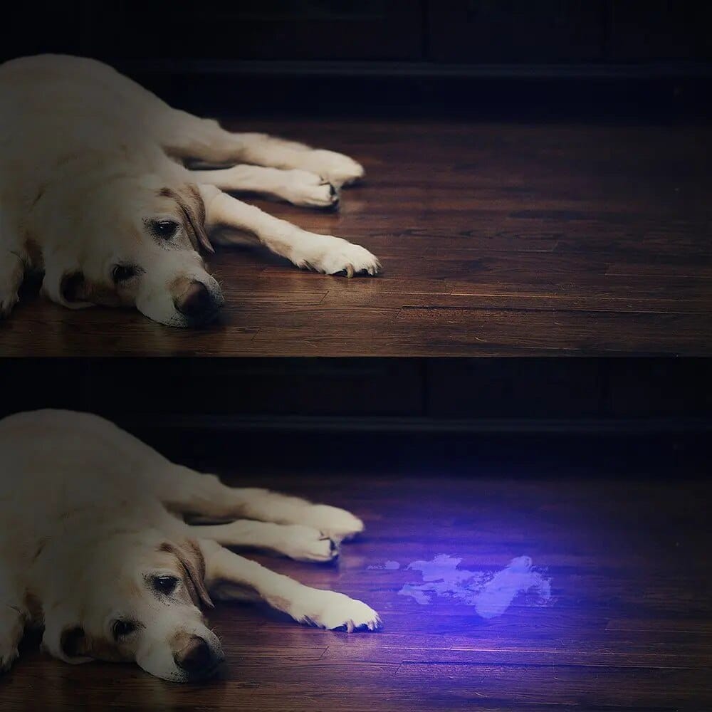 21-LED Pocket UV Flashlight