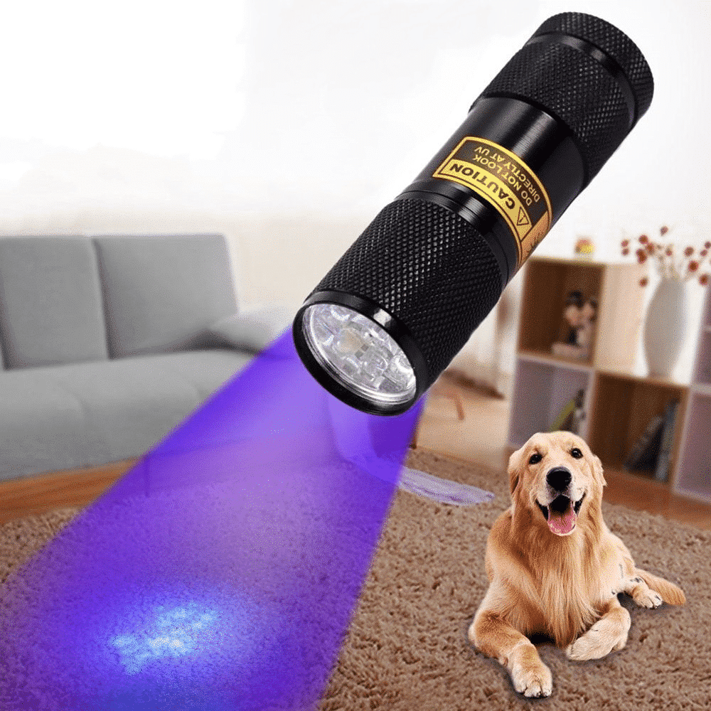 21-LED Pocket UV Flashlight