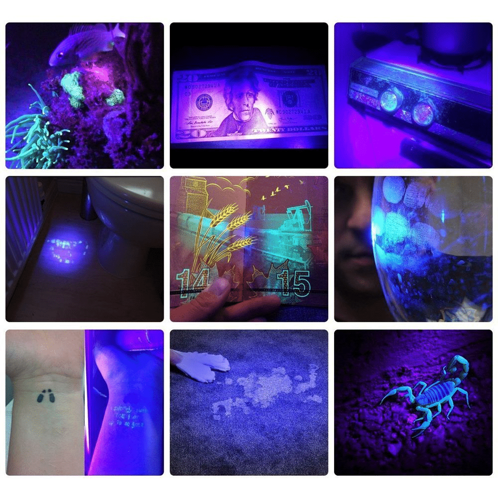 21-LED Pocket UV Flashlight