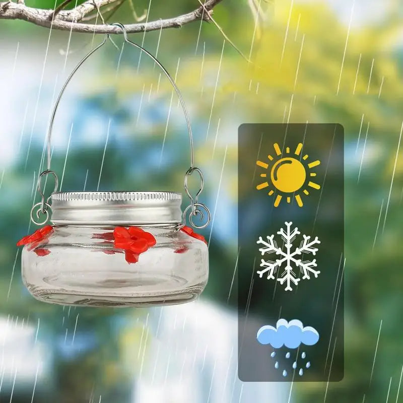 Clear Flower-Shaped Hummingbird Feeder