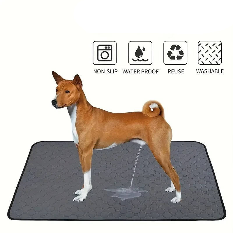 Disposable & Reusable Dog Pee Pads