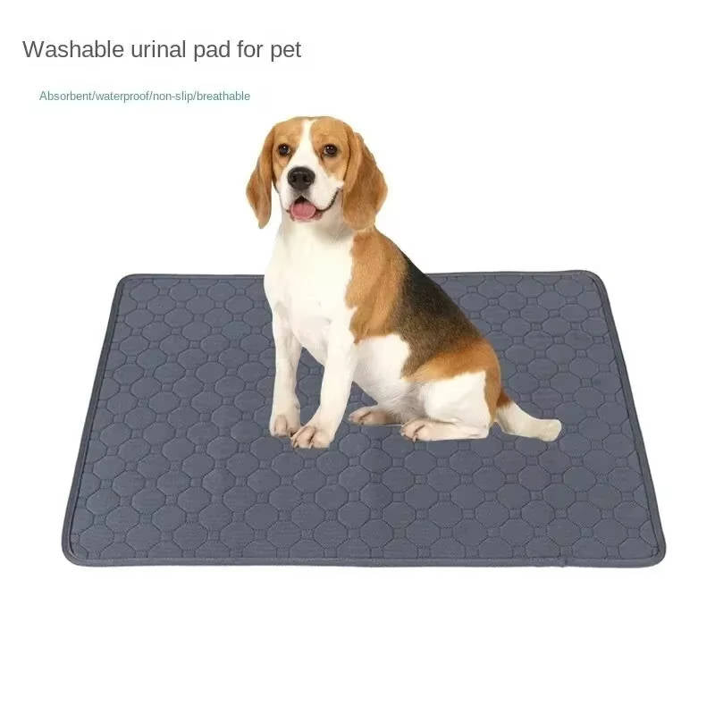 Disposable & Reusable Dog Pee Pads
