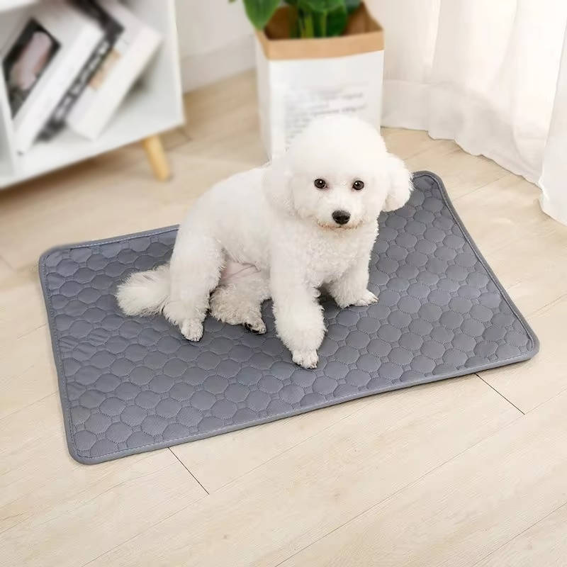 Disposable & Reusable Dog Pee Pads