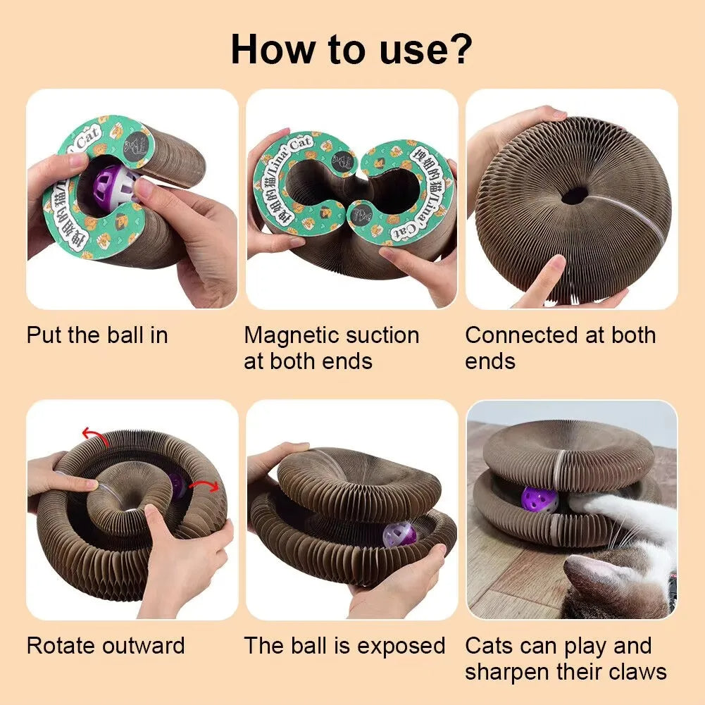 Cat Scratching Board – Organ Design