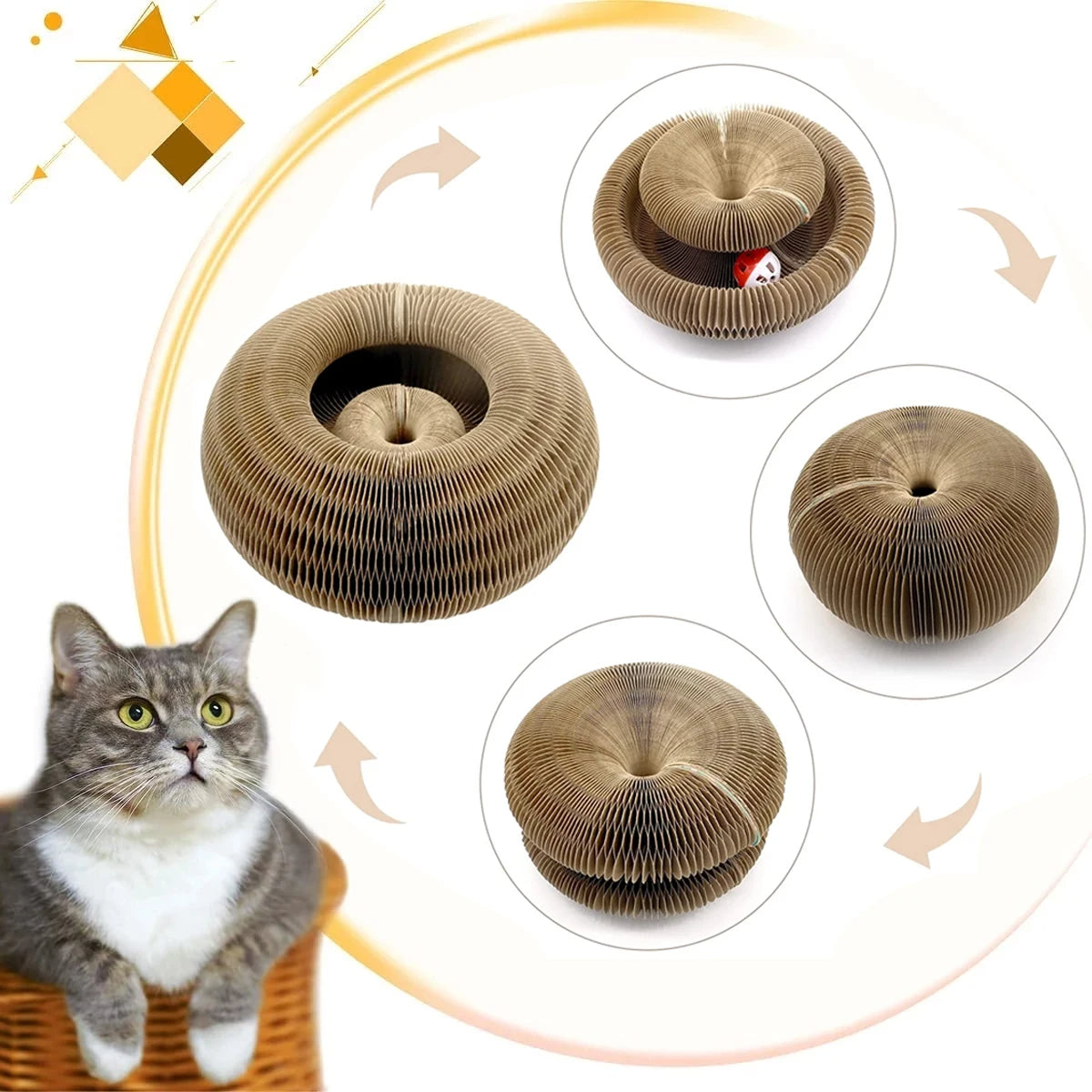 Cat Scratching Board – Organ Design