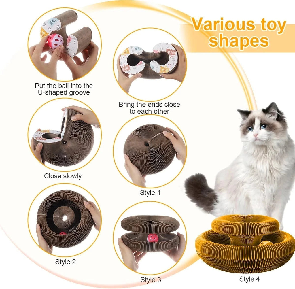 Cat Scratching Board – Organ Design