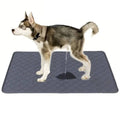 Disposable & Reusable Dog Pee Pads