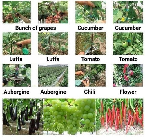 Plant Support Ties & Strappers