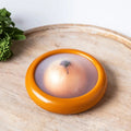 Fruit & Vegetable Freshness Storage Box
