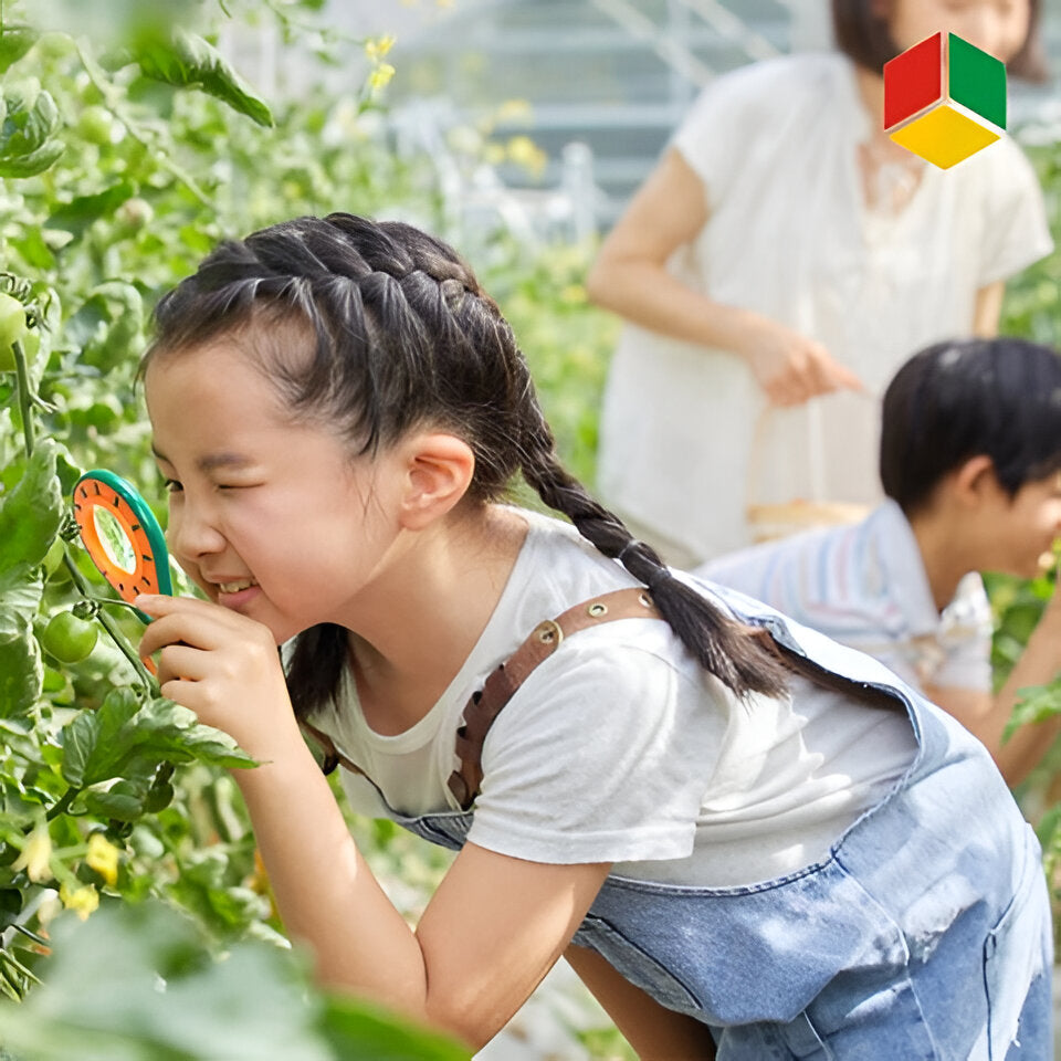 Kids' Insect Exploration Kit