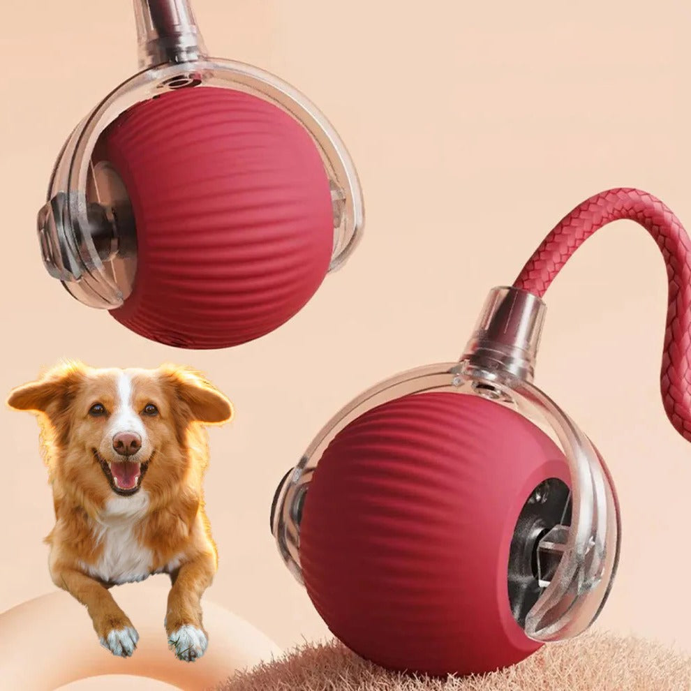 Interactive Rolling Ball with Tail for Dogs