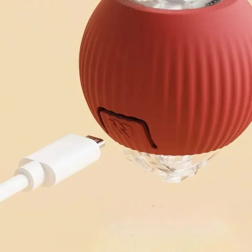 Interactive Rolling Ball with Tail for Dogs
