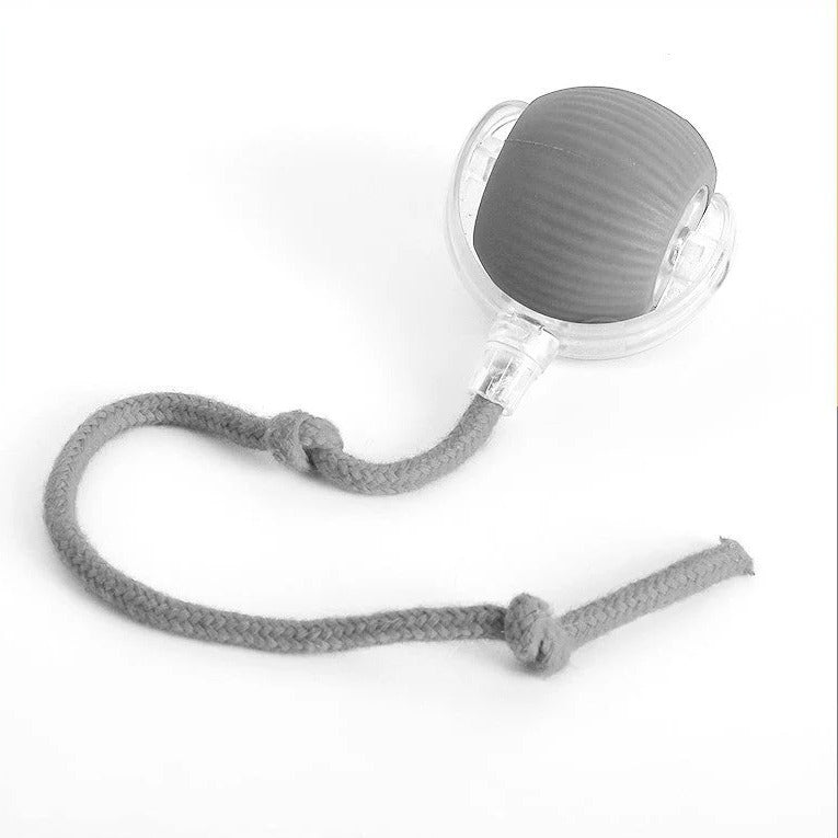 Interactive Rolling Ball with Tail for Dogs