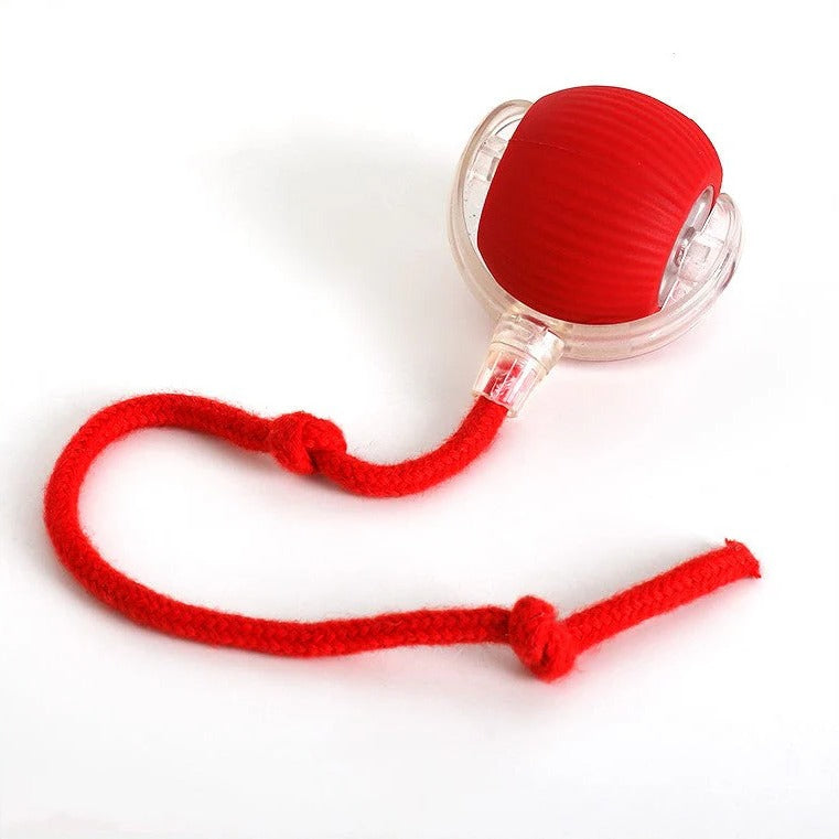 Interactive Rolling Ball with Tail for Dogs