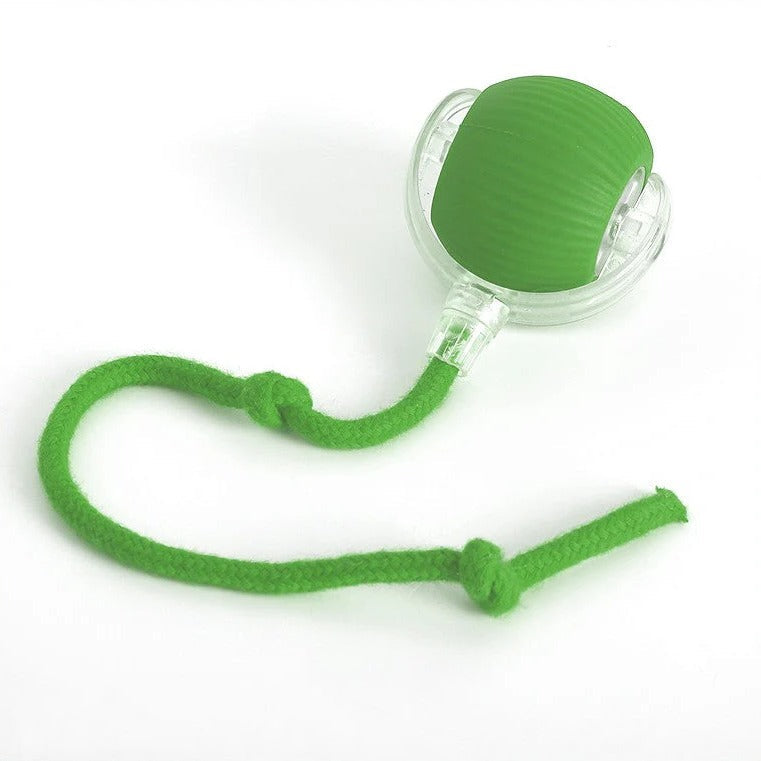 Interactive Rolling Ball with Tail for Dogs
