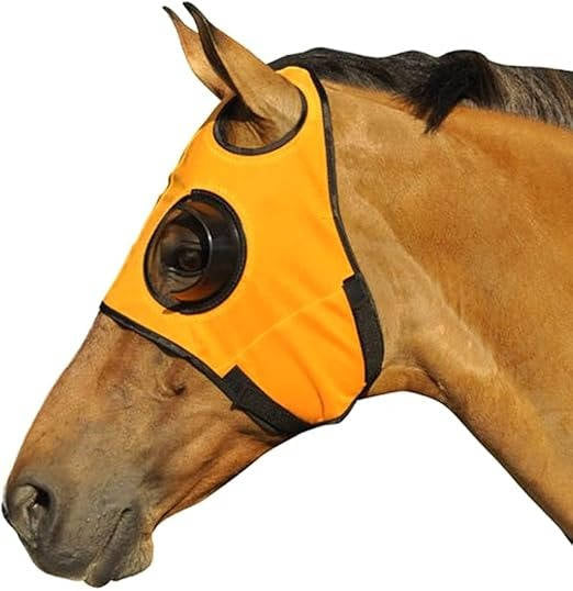 Horse Blinders