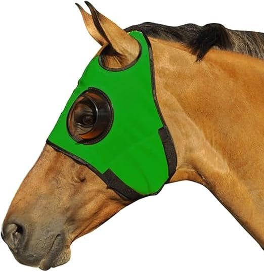 Horse Blinders