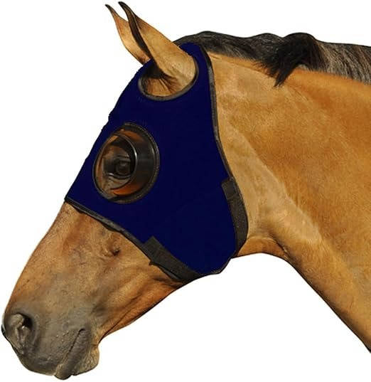 Horse Blinders