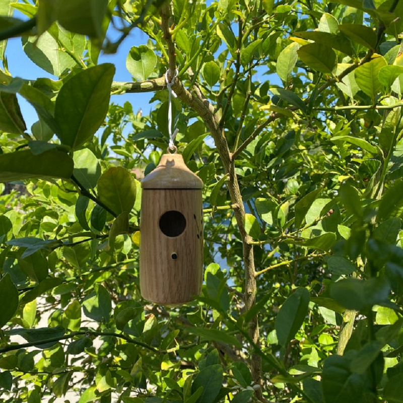 Wooden Hummingbird House
