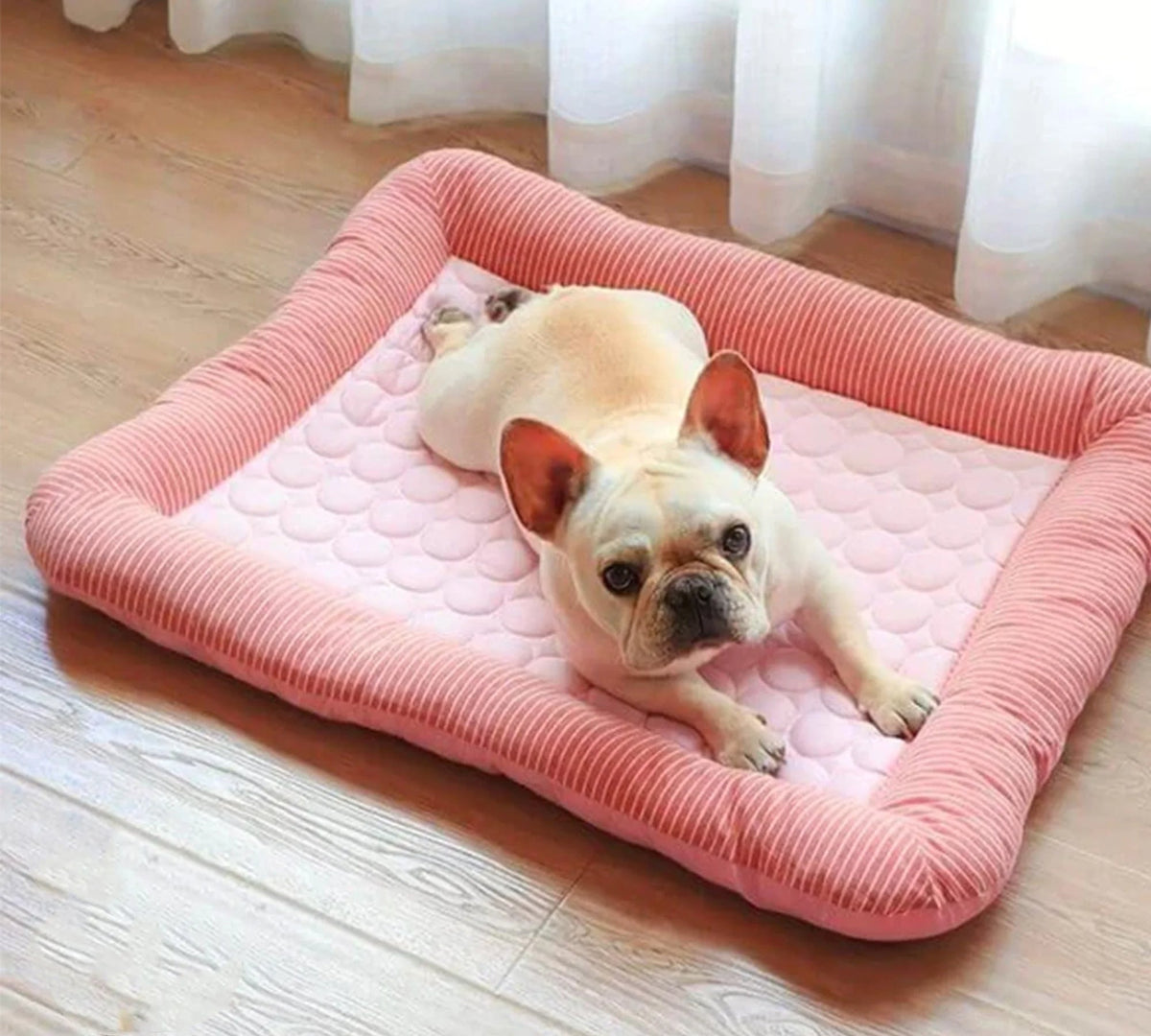Cooling Ice Silk Dog Bed